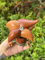 Monster Buddy